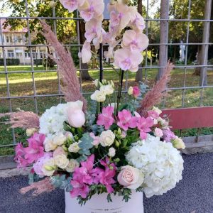 Aranjament premium în cutie de catifea gigant